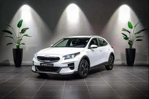 Annonce KIA XCEED Non renseigné 2022 d'occasion 
