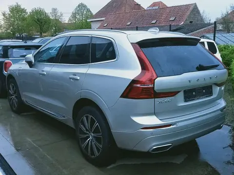 Used VOLVO XC60 Hybrid 2021 Ad Belgium