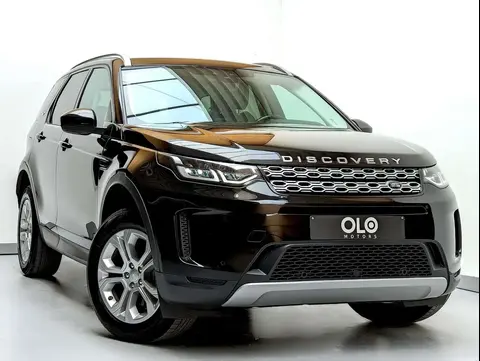 Used LAND ROVER DISCOVERY Diesel 2020 Ad Belgium