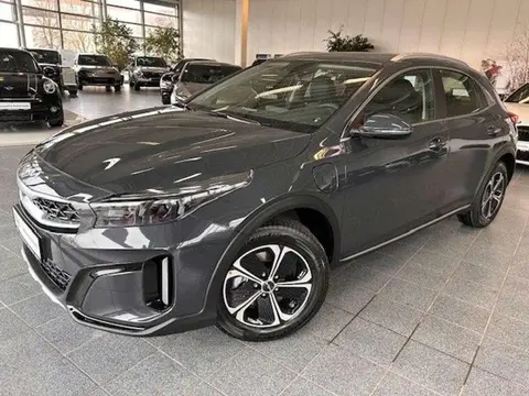 Annonce KIA XCEED Hybride 2023 d'occasion 
