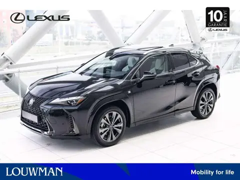 Used LEXUS UX Hybrid 2024 Ad 