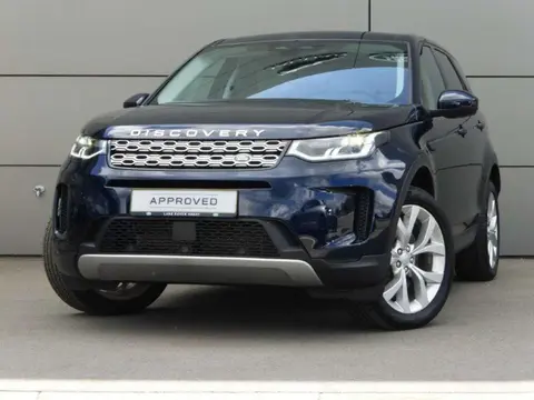 Used LAND ROVER DISCOVERY Hybrid 2022 Ad Belgium