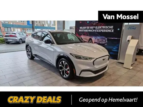 Used FORD MUSTANG Electric 2023 Ad Belgium
