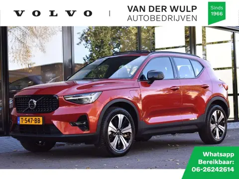 Used VOLVO XC40 Hybrid 2023 Ad 