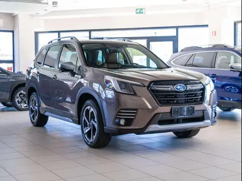 Annonce SUBARU FORESTER Hybride 2024 d'occasion 