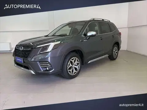 Annonce SUBARU FORESTER Hybride 2024 d'occasion 