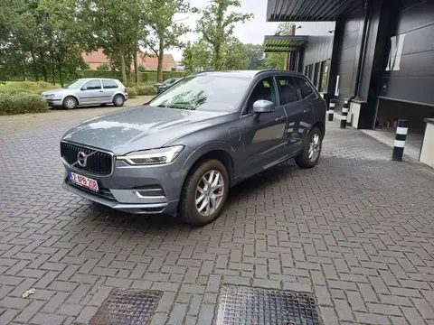 Used VOLVO XC60 Hybrid 2019 Ad Belgium