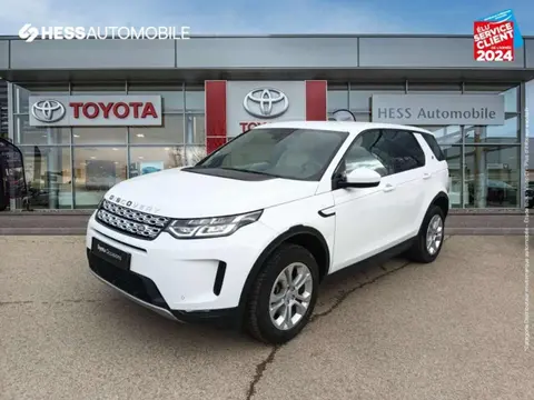 Used LAND ROVER DISCOVERY  2019 Ad 