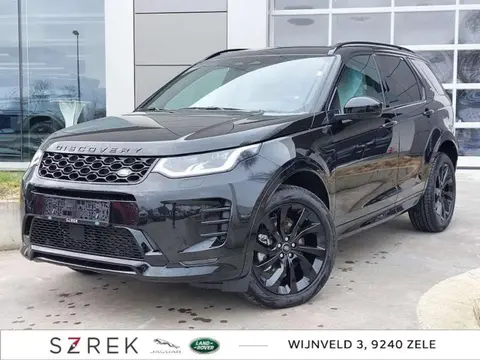 Used LAND ROVER DISCOVERY Hybrid 2024 Ad Belgium