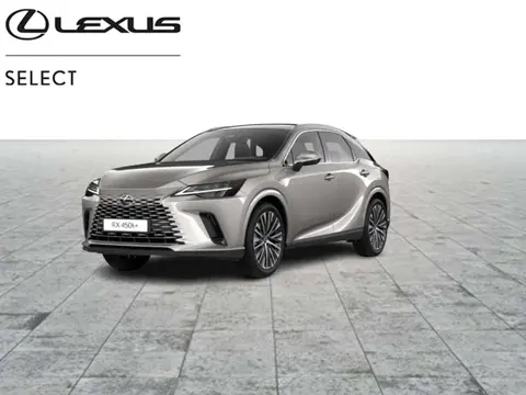 Used LEXUS RX Hybrid 2023 Ad Belgium