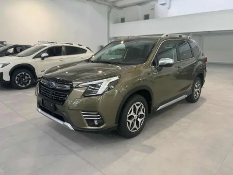 Annonce SUBARU FORESTER GPL 2024 d'occasion 