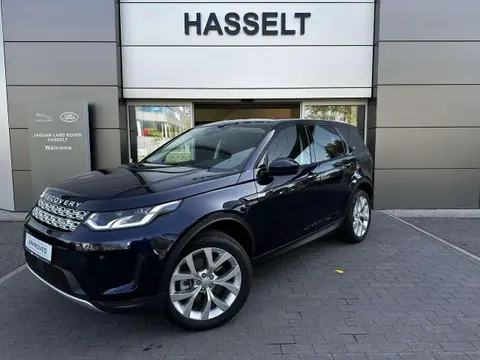 Annonce LAND ROVER DISCOVERY Hybride 2023 d'occasion Belgique