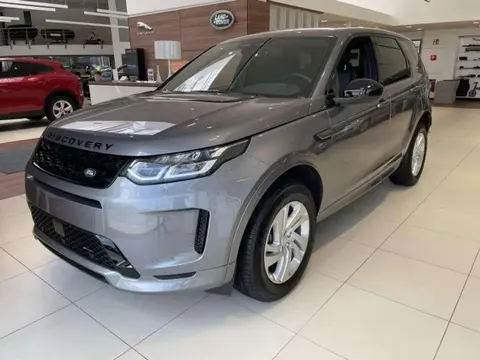 Annonce LAND ROVER DISCOVERY Diesel 2023 d'occasion Belgique