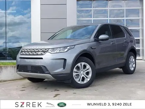 Annonce LAND ROVER DISCOVERY Diesel 2024 d'occasion Belgique