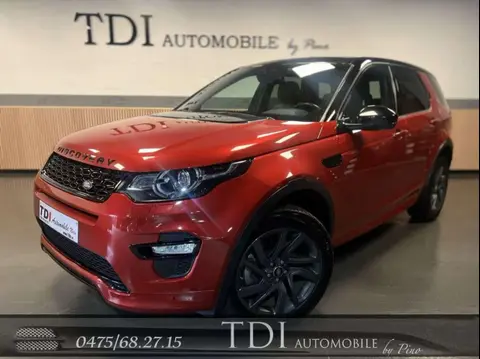 Used LAND ROVER DISCOVERY Diesel 2019 Ad Belgium