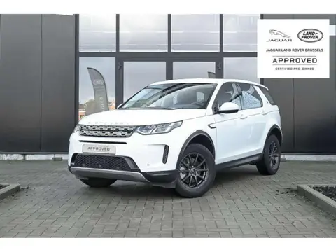 Used LAND ROVER DISCOVERY Petrol 2021 Ad 