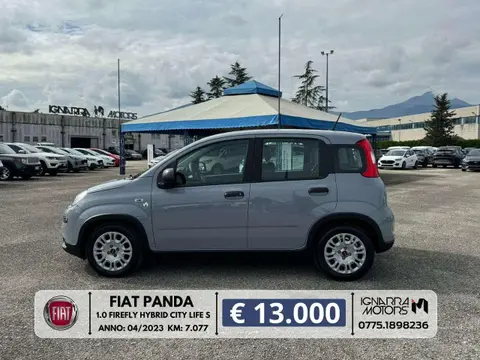 Annonce FIAT PANDA Hybride 2023 d'occasion 