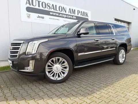 Used CADILLAC ESCALADE Not specified 2017 Ad 