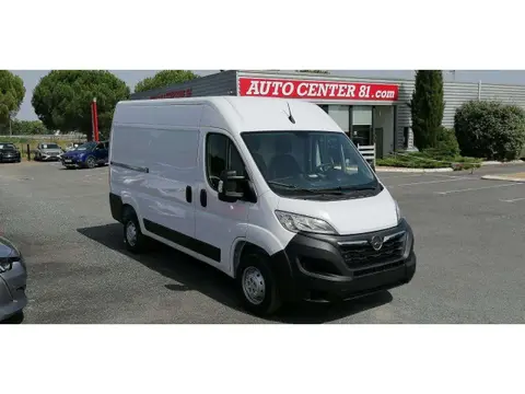 Used OPEL MOVANO Diesel 2023 Ad 