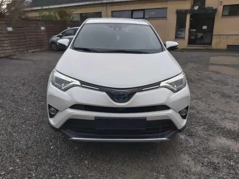Used TOYOTA RAV4 Hybrid 2016 Ad Belgium