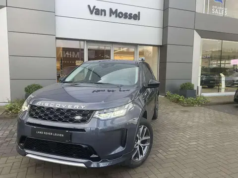 Annonce LAND ROVER DISCOVERY Essence 2023 d'occasion Belgique