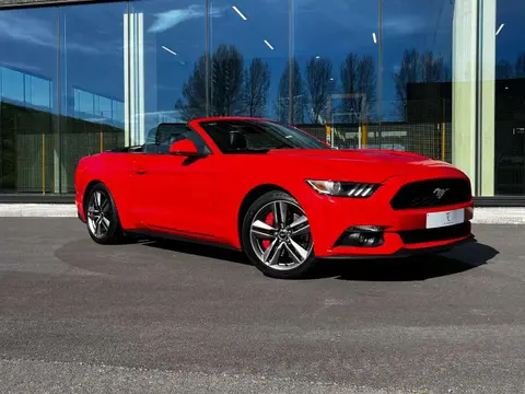 Annonce FORD MUSTANG Essence 2015 d'occasion Belgique