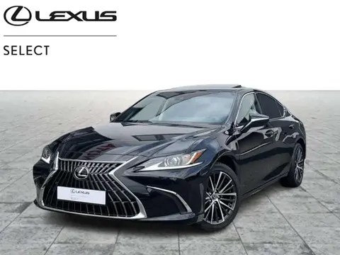 Used LEXUS ES Hybrid 2024 Ad Belgium