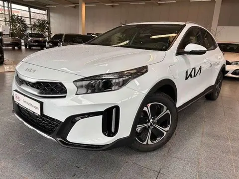 Annonce KIA XCEED Hybride 2024 d'occasion 
