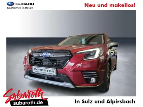 Used SUBARU FORESTER Petrol 2024 Ad Germany