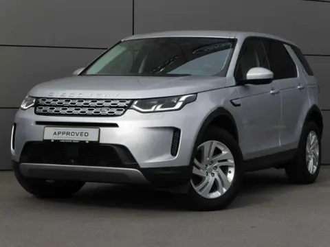 Used LAND ROVER DISCOVERY Hybrid 2021 Ad 