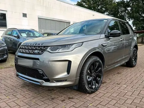 Used LAND ROVER DISCOVERY Hybrid 2020 Ad Germany