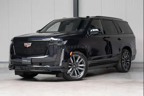 Annonce CADILLAC ESCALADE Essence 2024 d'occasion 