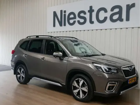Annonce SUBARU FORESTER Hybride 2022 d'occasion 