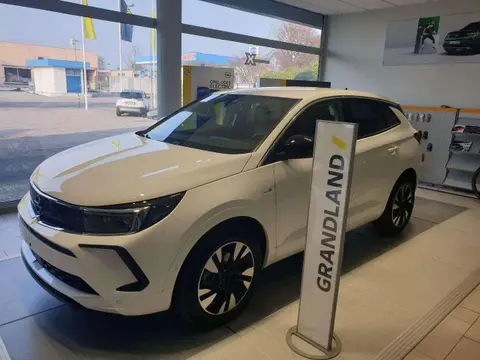 Annonce OPEL GRANDLAND Diesel 2024 d'occasion 