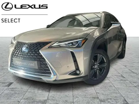 Annonce LEXUS UX Hybride 2021 d'occasion Belgique
