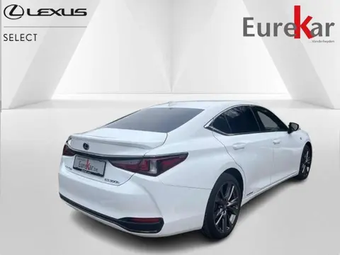 Used LEXUS ES Hybrid 2019 Ad Belgium