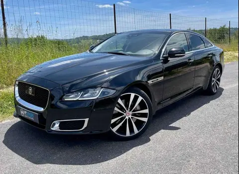Used JAGUAR XJ Not specified 2019 Ad 