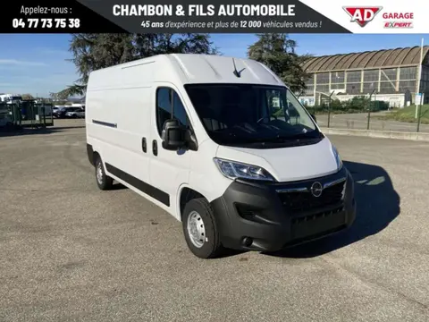 Used OPEL MOVANO Diesel 2022 Ad 