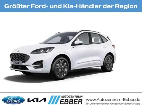 Used FORD KUGA Diesel 2024 Ad Germany