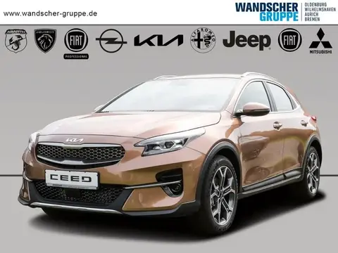 Annonce KIA XCEED Diesel 2022 d'occasion 
