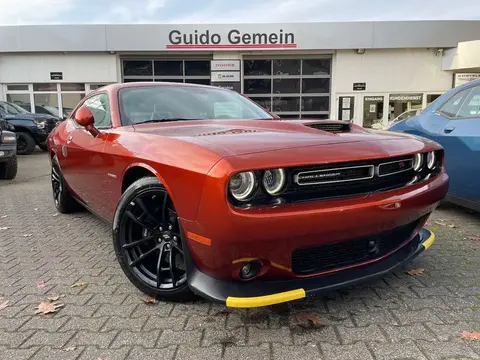 Used DODGE CHALLENGER Not specified 2023 Ad 