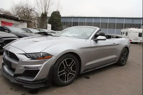 Annonce FORD MUSTANG Essence 2019 d'occasion 