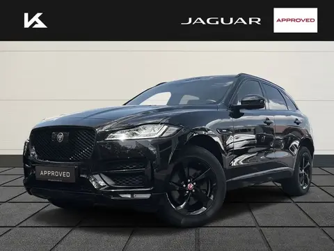 Used JAGUAR F-PACE Diesel 2019 Ad Germany