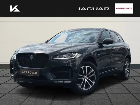 Used JAGUAR F-PACE Diesel 2019 Ad Germany