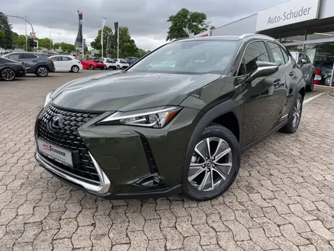 Used LEXUS UX Not specified 2021 Ad 