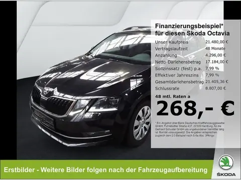 Used SKODA OCTAVIA Diesel 2020 Ad 