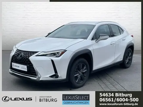 Used LEXUS UX Hybrid 2019 Ad 