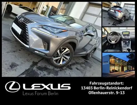 Used LEXUS NX Hybrid 2018 Ad Germany