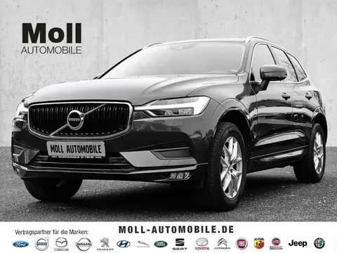 Used VOLVO XC60 Diesel 2019 Ad 