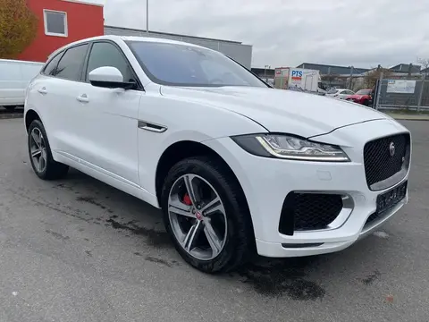 Used JAGUAR F-PACE Not specified 2020 Ad 